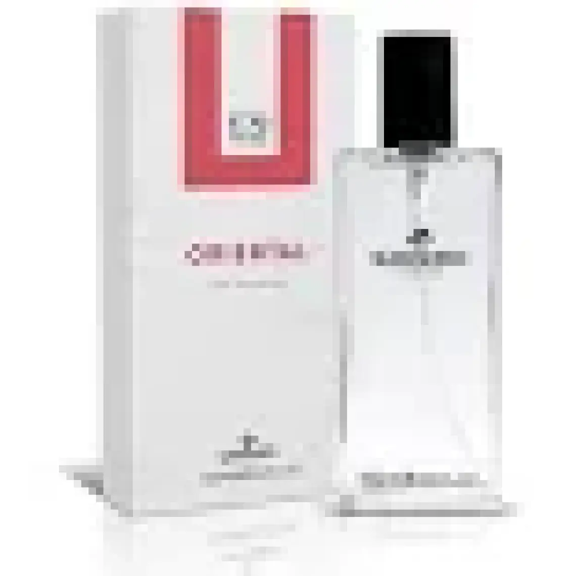 Sansiro E-70 Erkek Parfüm 100ml Edp