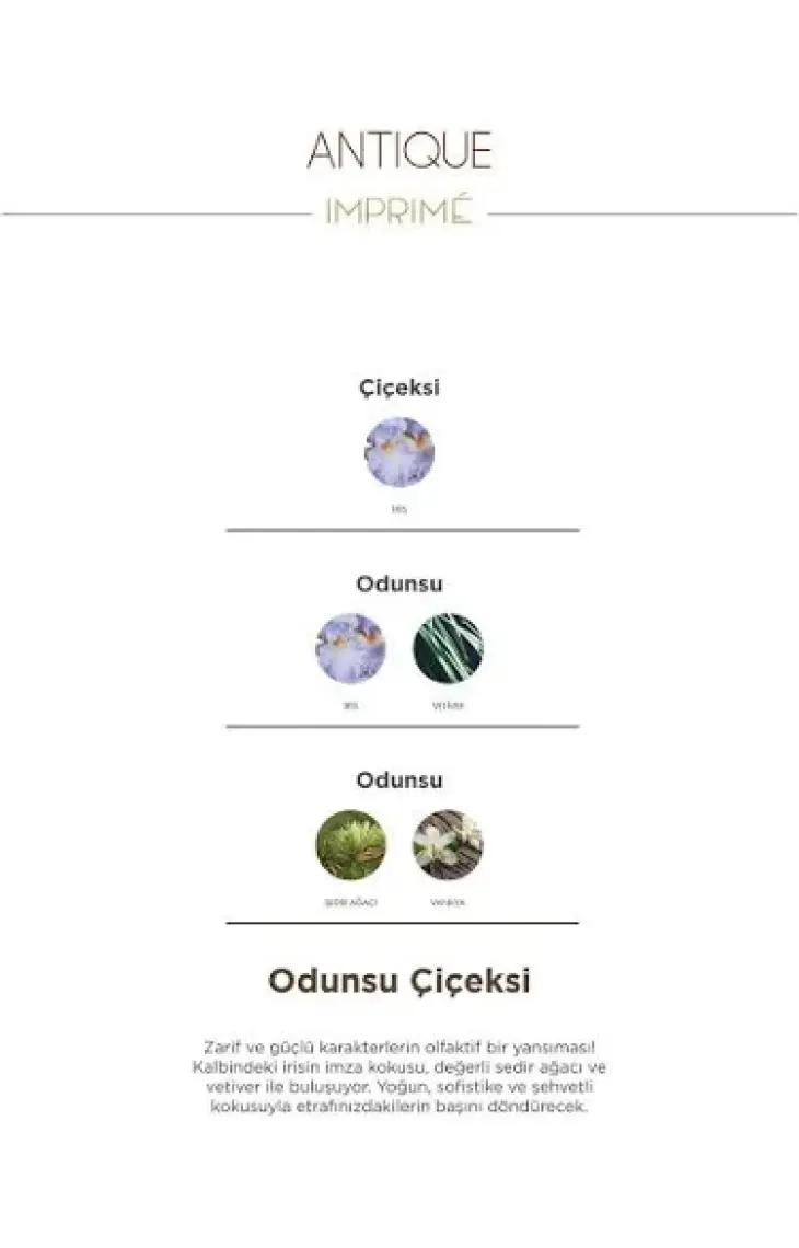 Imprime Antique EDP Erkek Parfüm 100ml | Odunsu ve Çiçeksi | Iris, Vetiver, Vanilya, Sedir Ağacı