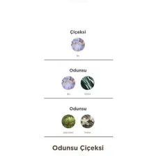 Imprime Antique EDP Erkek Parfüm 100ml | Odunsu ve Çiçeksi | Iris, Vetiver, Vanilya, Sedir Ağacı