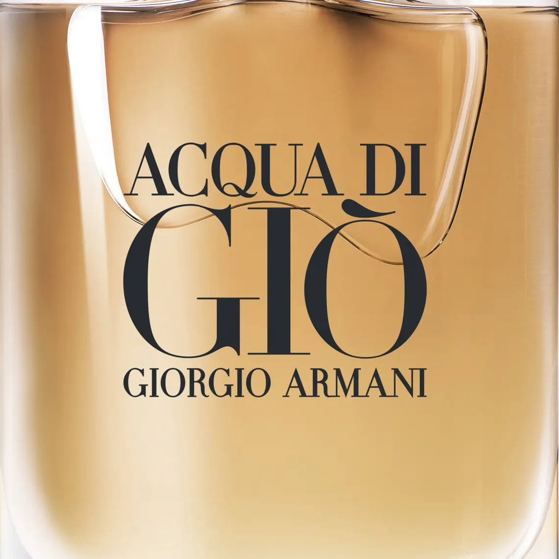 Giorgio Armani Acqua Di Gio Homme Absolu Edp 125 Ml Erkek Parfüm