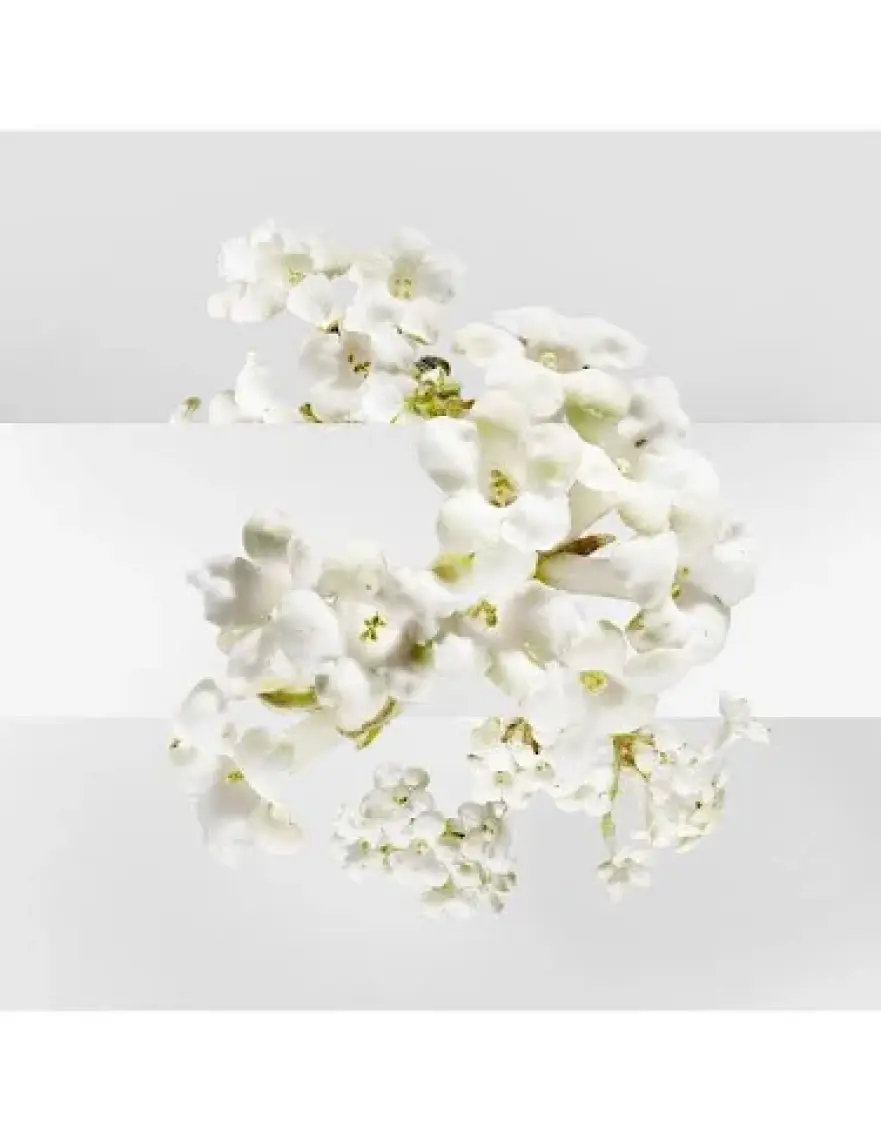 Hermes Un Jardin Sur La Lagune Edt 50 Ml Kadın Parfüm