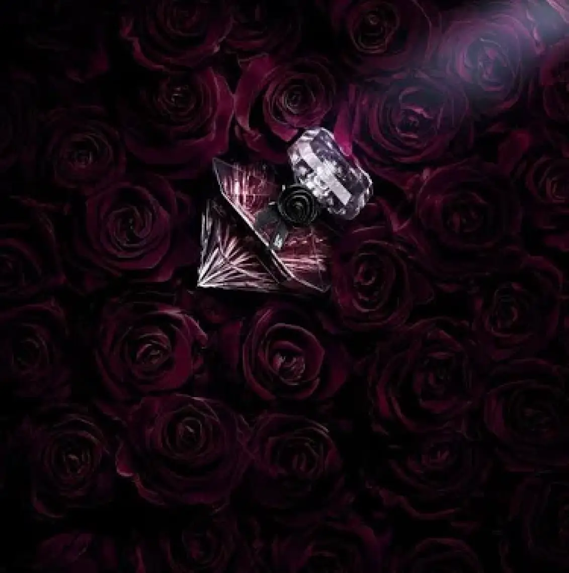 Lancome La Nuit Tresor Edp 50 Ml Kadın Parfüm