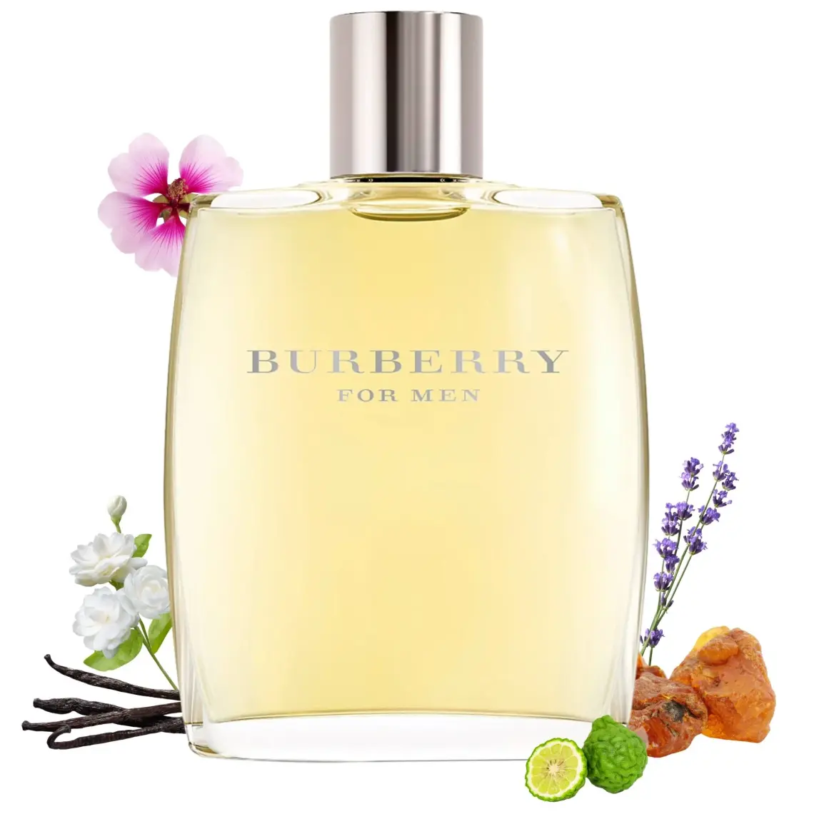 Burberry For Edt 100 ml Erkek Parfüm