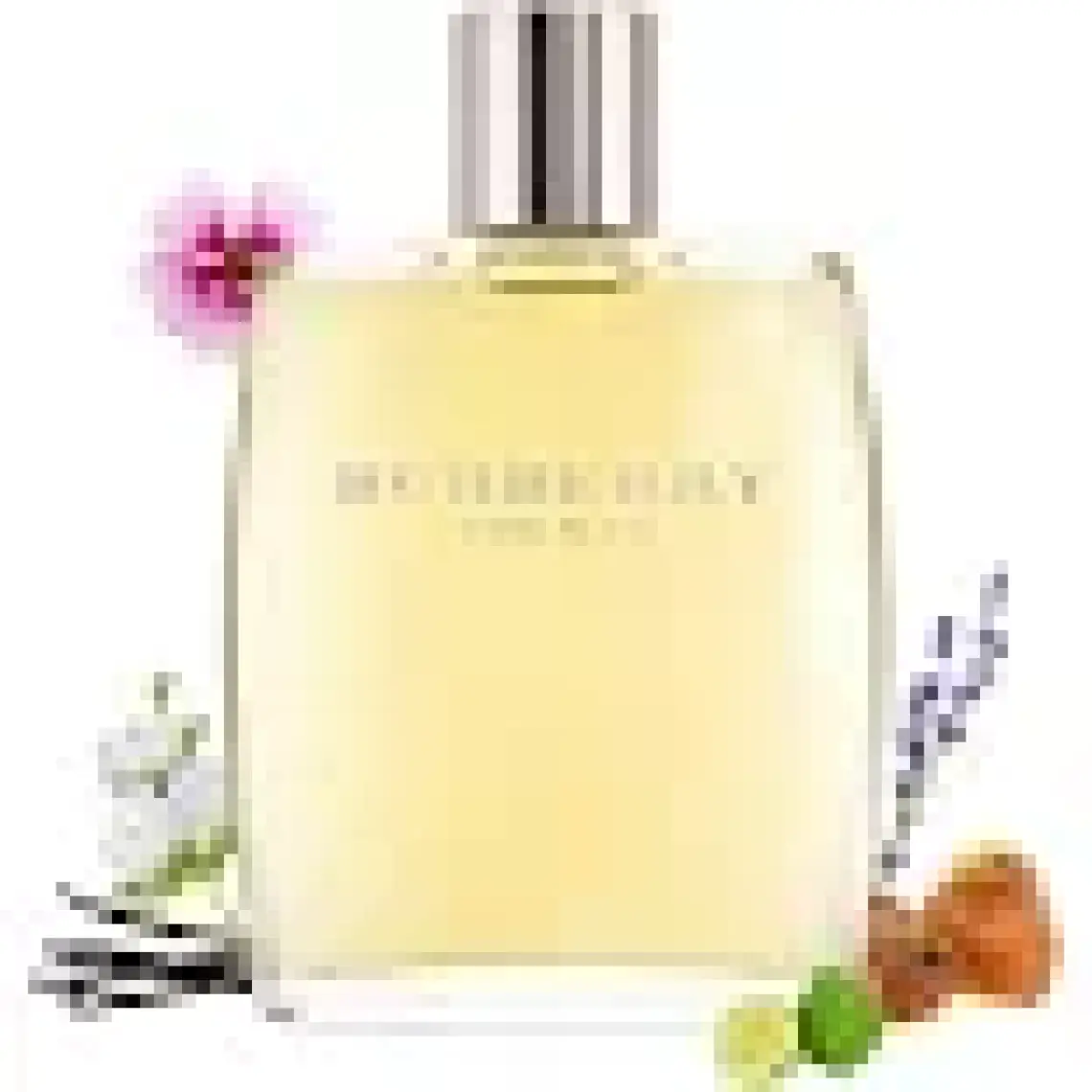 Burberry For Edt 100 ml Erkek Parfüm