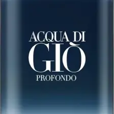 Giorgio Armani Acqua Di Gio Profondo Edp 200 ml Erkek Parfümü