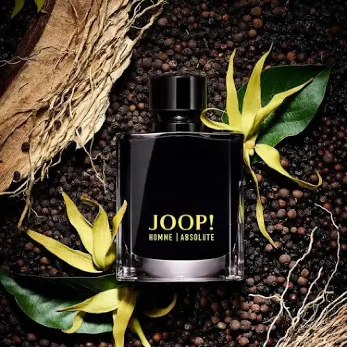 Homme Absolute Edp 120ml Erkek Parfüm