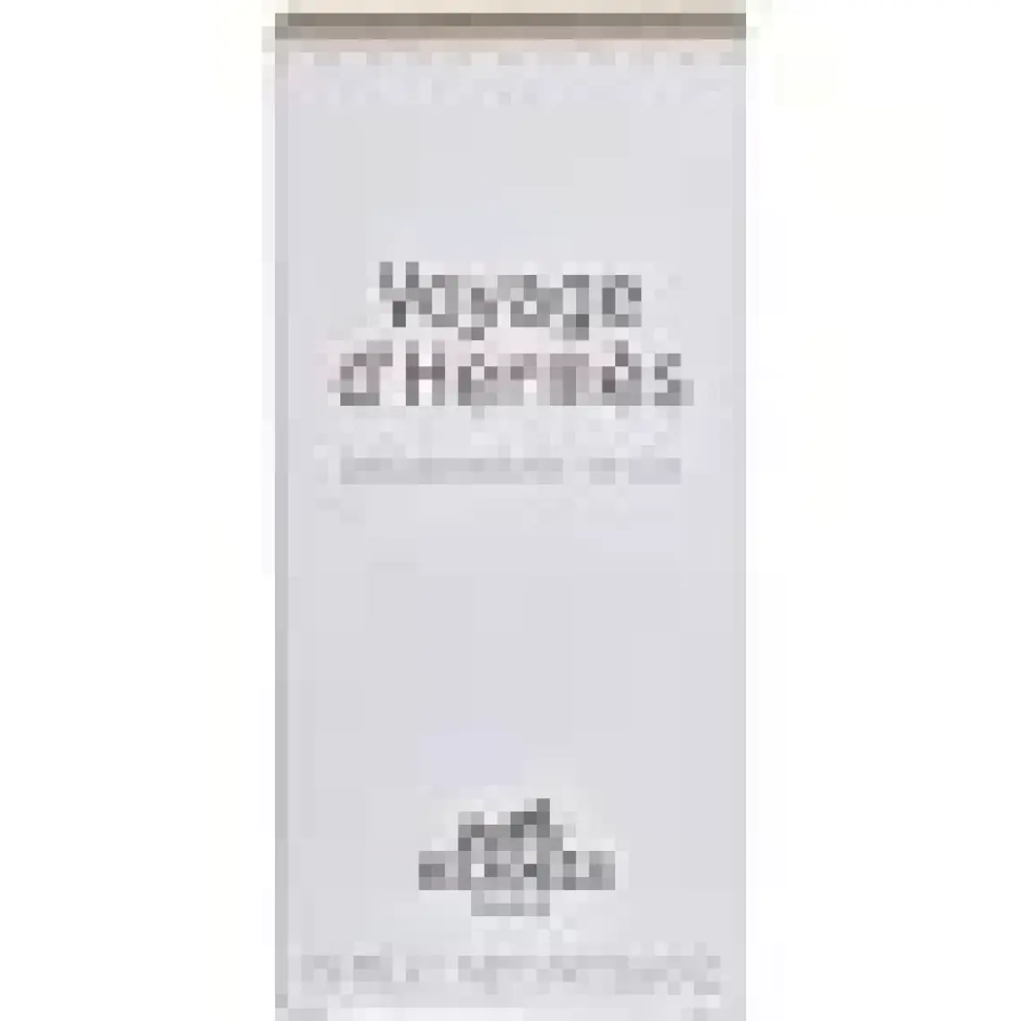 Hermes Voyage D'hermes Erkek Roll on