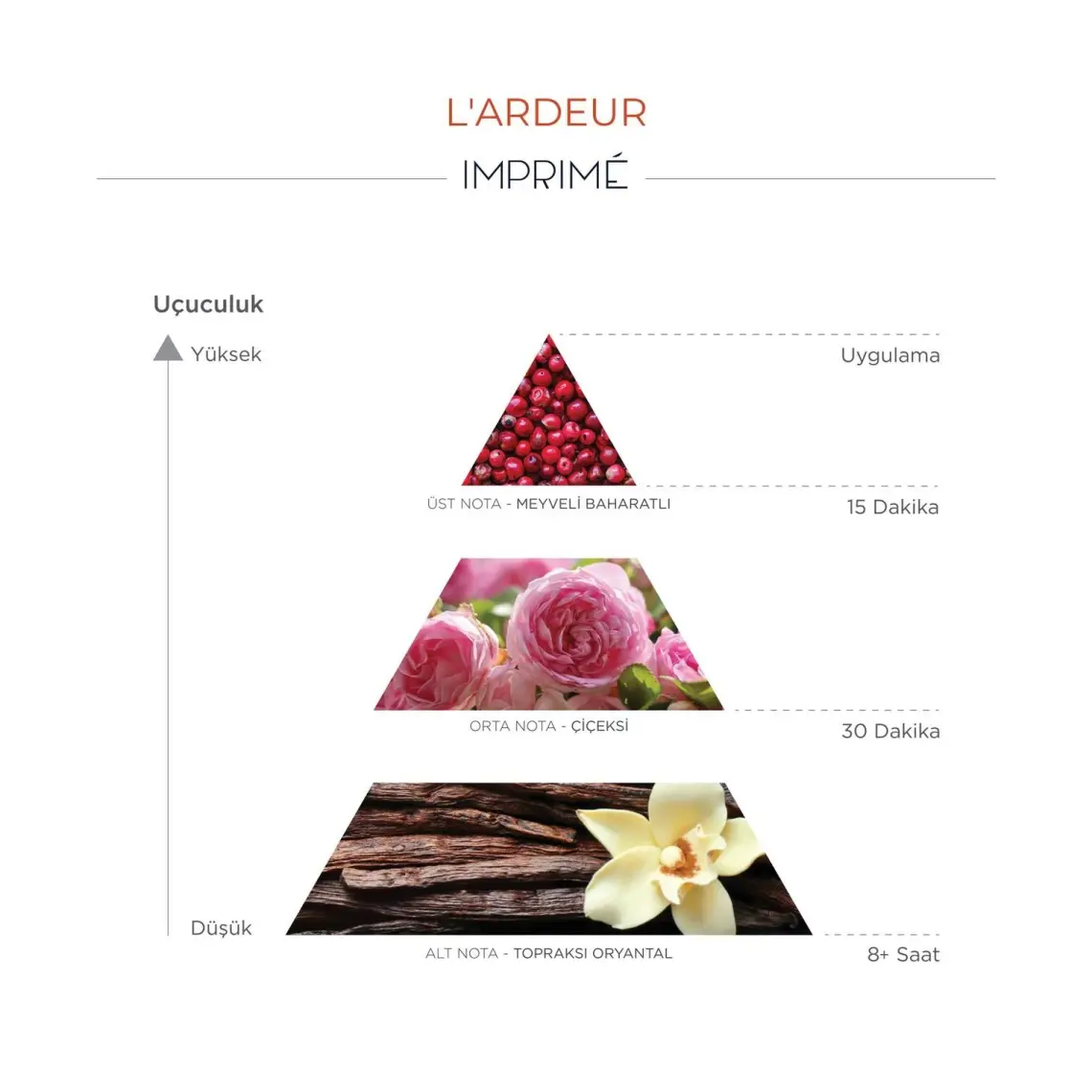 Imprimé L'ardeur EDP Unisex Parfüm 100 ml | Oryantal Çiçeksi | Ahududu, Safran, Gül, Manolya, Amber, Vetiver