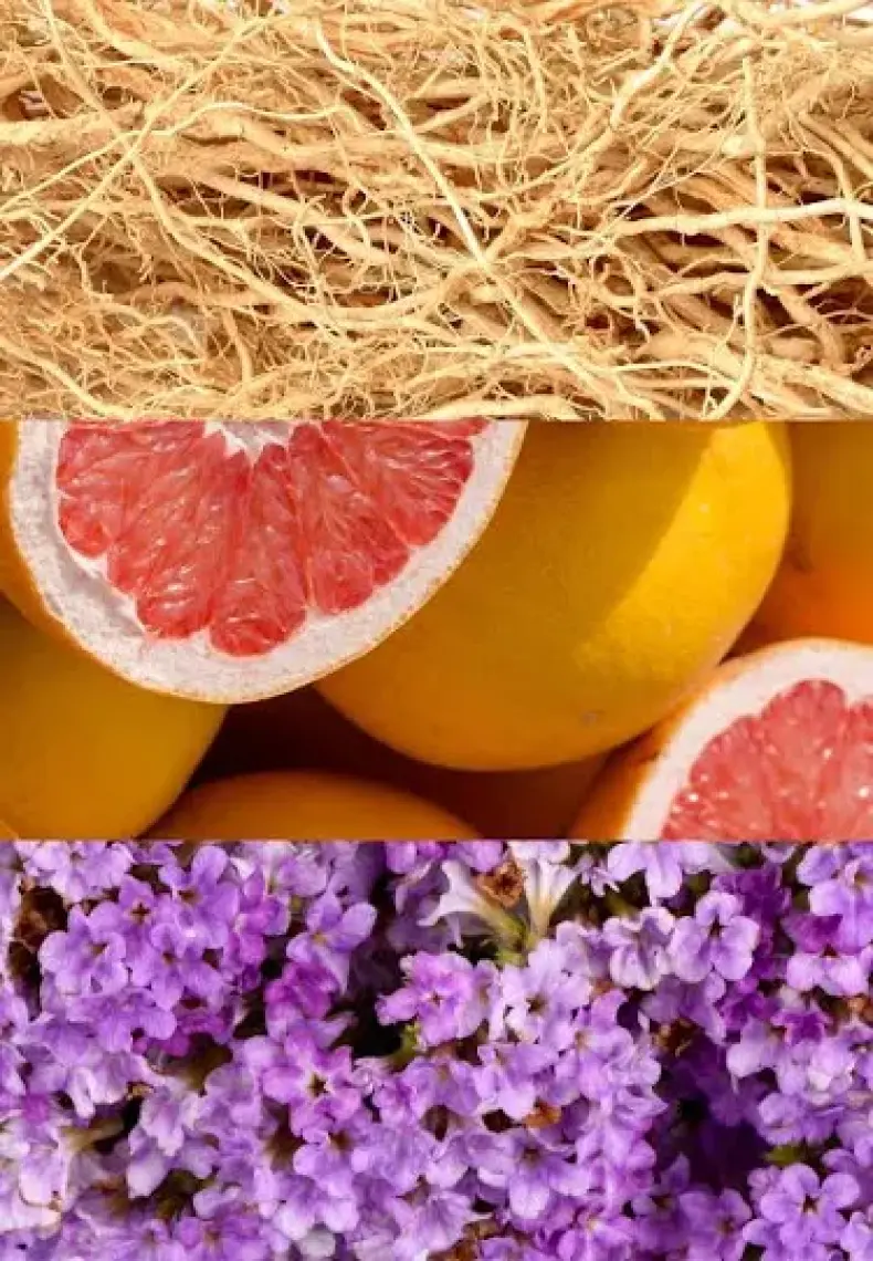 Joop Jump Edt Erkek Parfümü 100 Ml