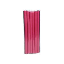 Lionesse Sosıs Bıgudı 3015 (12 Li Paket)