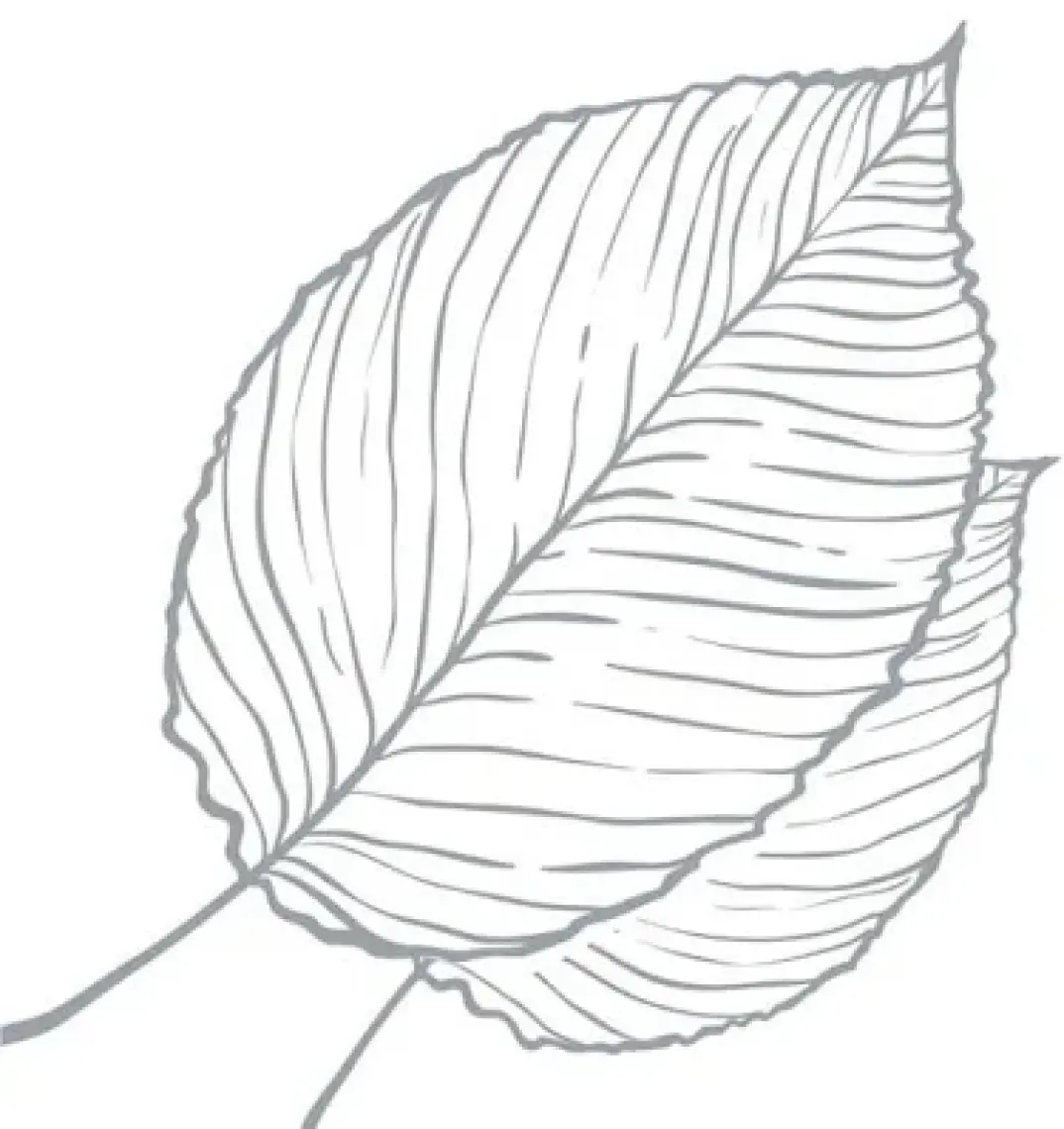 Arm & Hammer Essentials Natural Deodorant, Unscented 2.5oz, 71GR