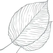 Arm & Hammer Essentials Natural Deodorant, Unscented 2.5oz, 71GR