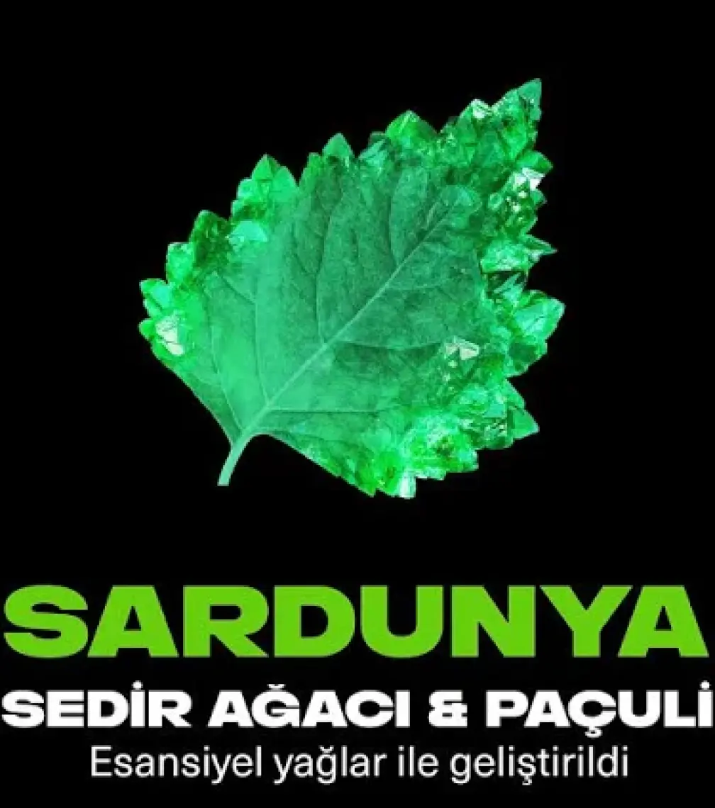 Axe Premium Collection Erkek Sprey Deodorant Emerald Sage 150 ml