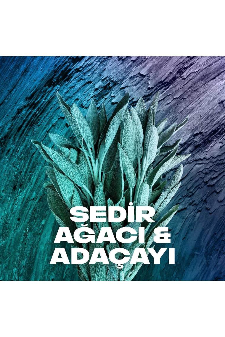 Axe Erkek Sprey Deodorant Apollo 48 Saat Etkileyici Koku 200 ml