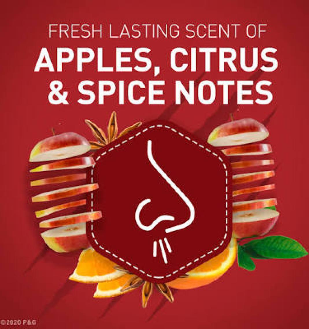 Old Spice W/C Bearglove Deodorant 85 gr