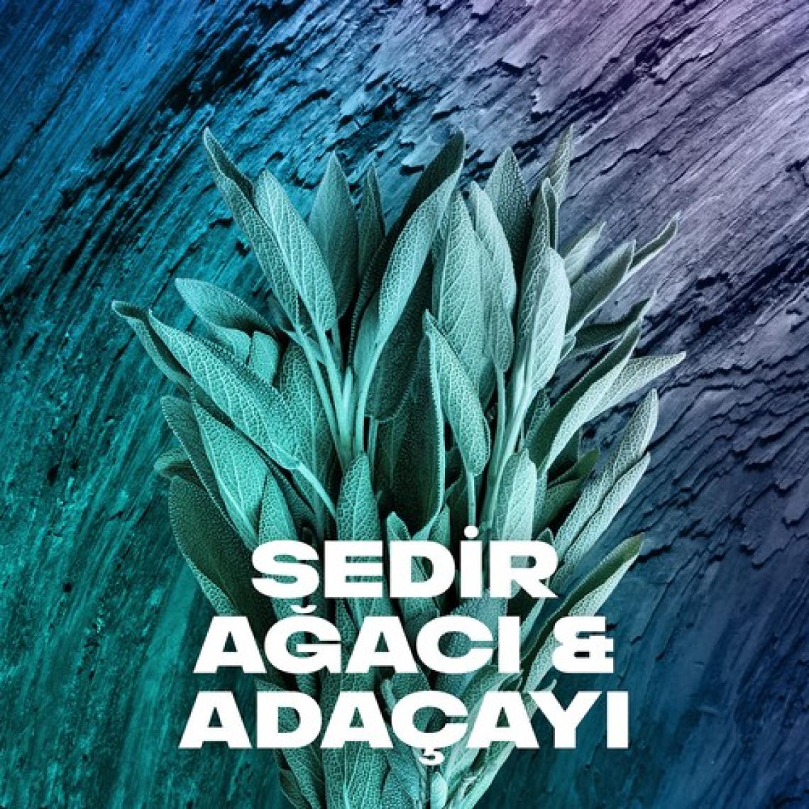 Axe Erkek Sprey Deodorant Apollo 200 ml + Clear Men Saç Bakım Şampuanı Cool Sport Menthol 180 ml