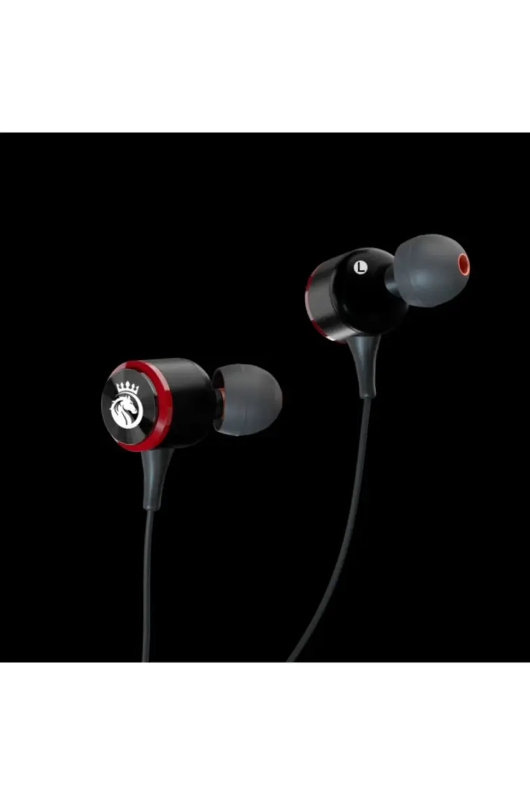 Rosstech Rs-70 Pro Metal Kablolu Kulak içi Kulaklık ve Özel Taşıma Çantası