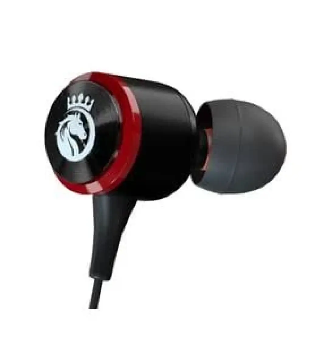 Rosstech Rs-70 Pro Metal Kablolu Kulak içi Kulaklık ve Özel Taşıma Çantası