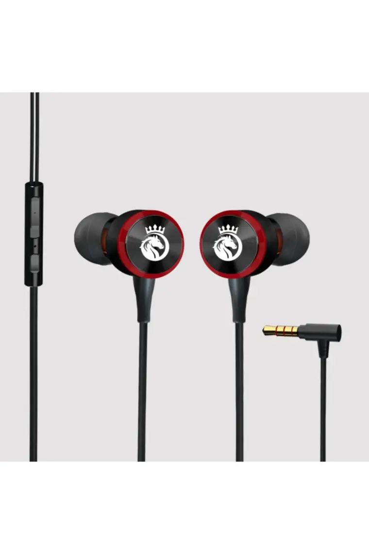 Rosstech Rs-70 Pro Metal Kablolu Kulak içi Kulaklık ve Özel Taşıma Çantası