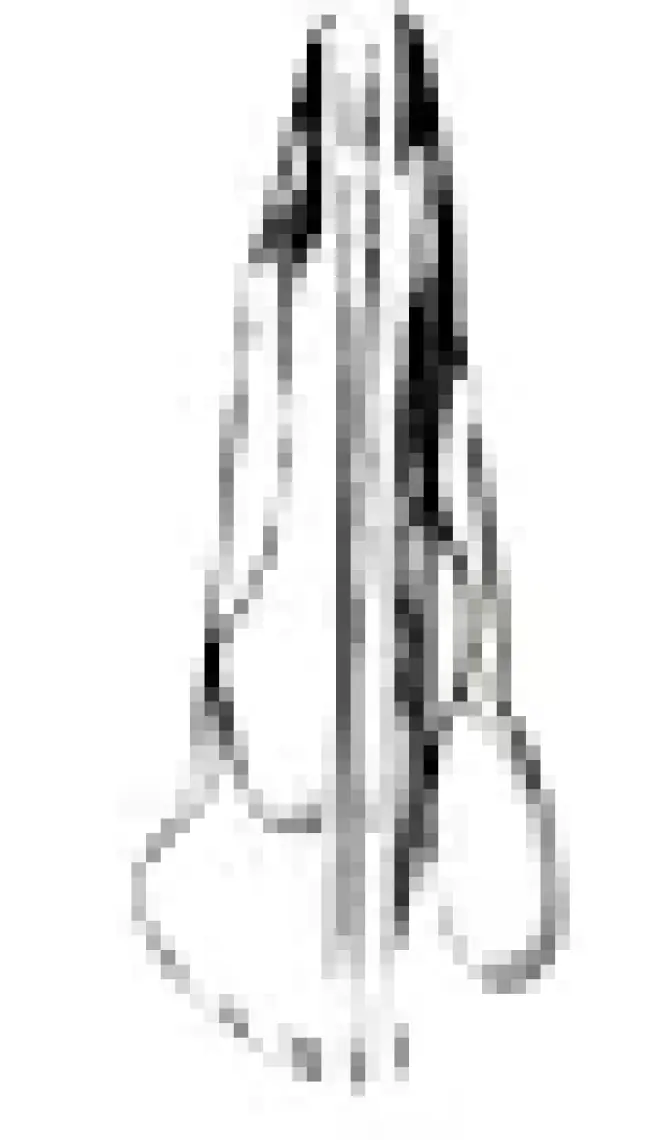 Thera-Band  Clx Consecutive Loops Band - Direnç Lastiği