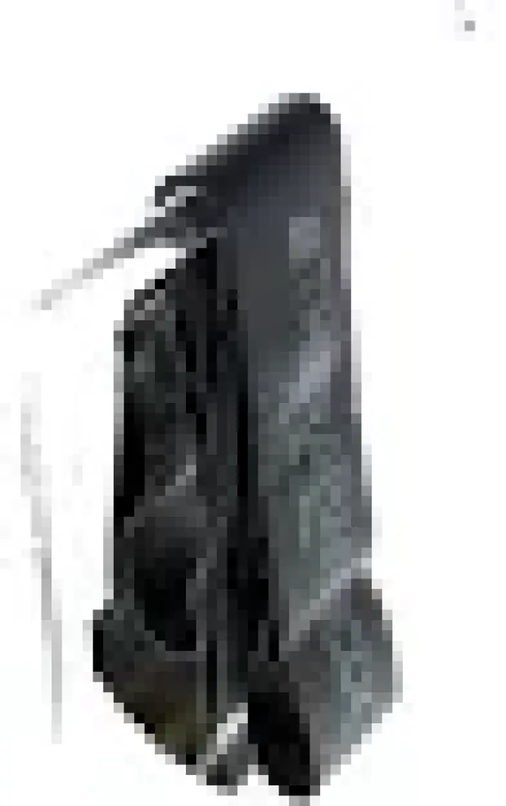 Thera-Band  Clx Consecutive Loops Band - Direnç Lastiği