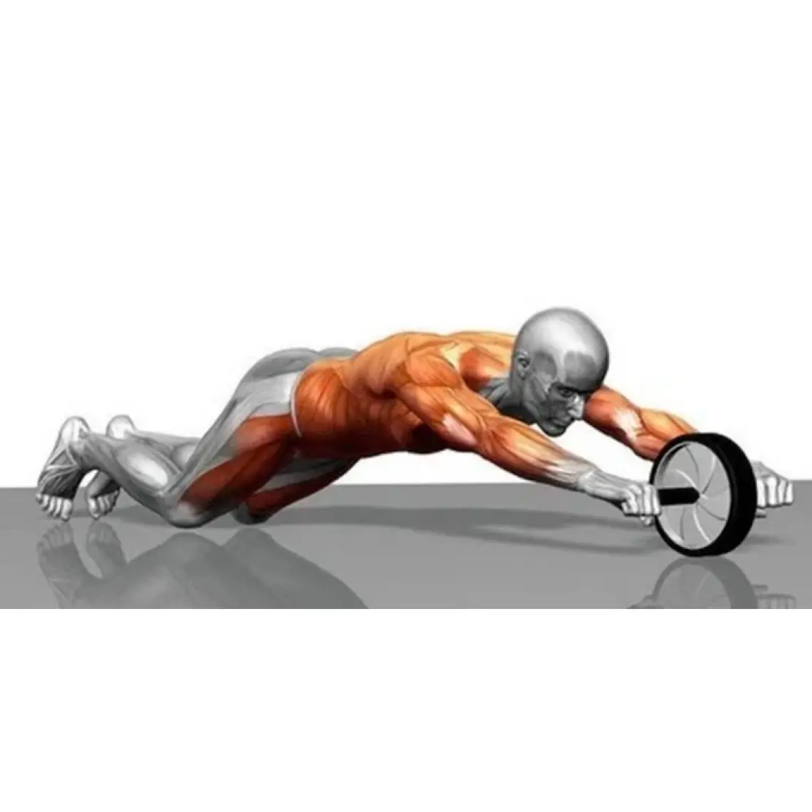 Delta Ab Wheel Egzersiz Fitness Tekerleği Karın Kası Ab Slider Kondisyon Spor Aleti
