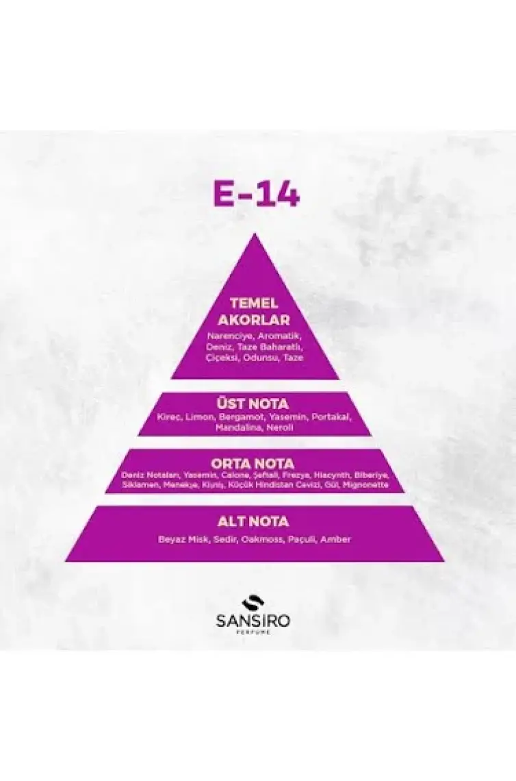Sansiro E-14 Erkek Parfüm 100ml Edp