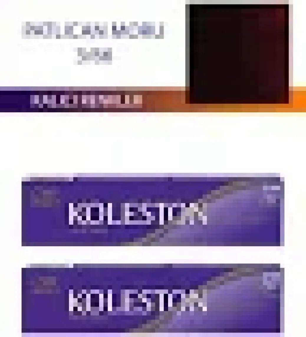 Wella Koleston 2 Adet Single Tüp Boya Saç Boyası Patlıcan Moru 3/66