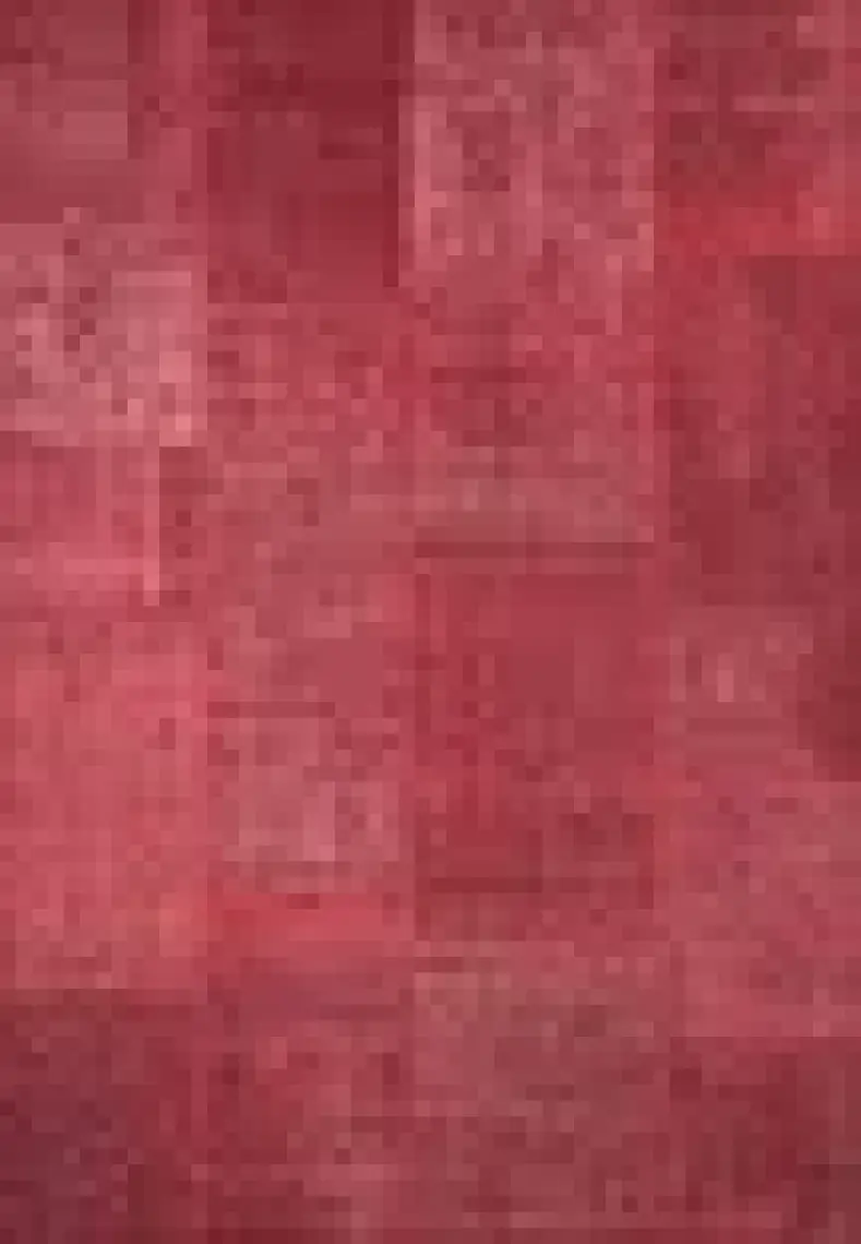 Artloop Patchwork Desenli Salon Halısı, Jazz Şönil |Pamuk-Polyester| Kırmızı Halı Al 164
