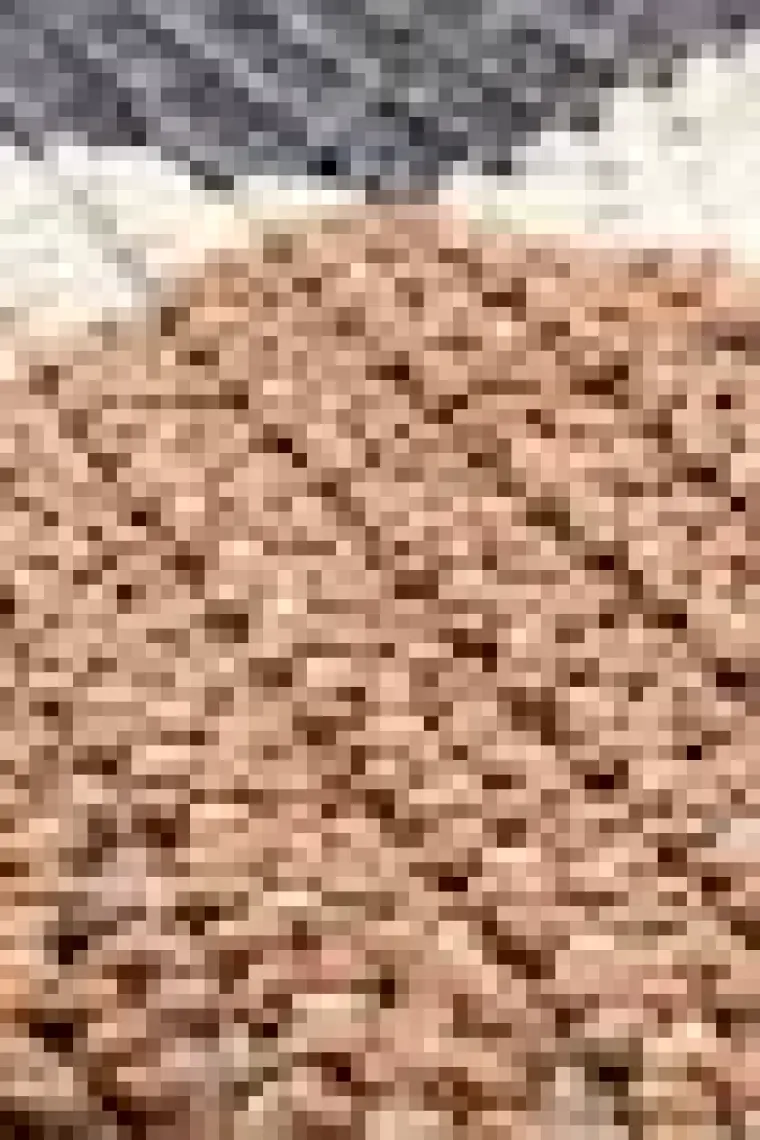 Cool Halı Bress 1406 Sarı Mavi Halı İskandinav Halı Kesme Yolluk Salon Halı Koridor Halısı Oturma Odası Halısı
