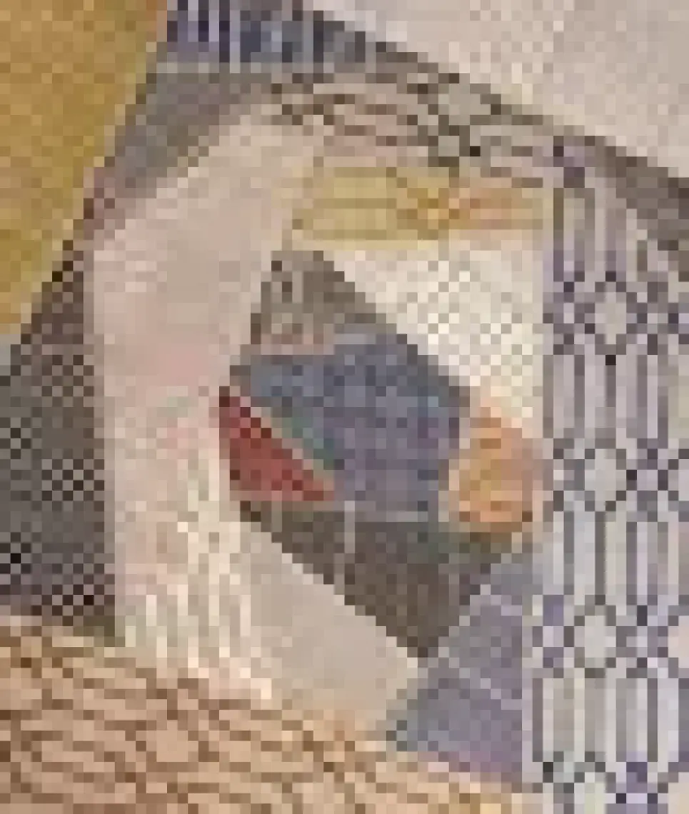 Koza Halı Rosso Siyah Dokuma   Jüt Halı Kilim Salon Oturma Odası Yatak Odası Koridor Halısı 23033A