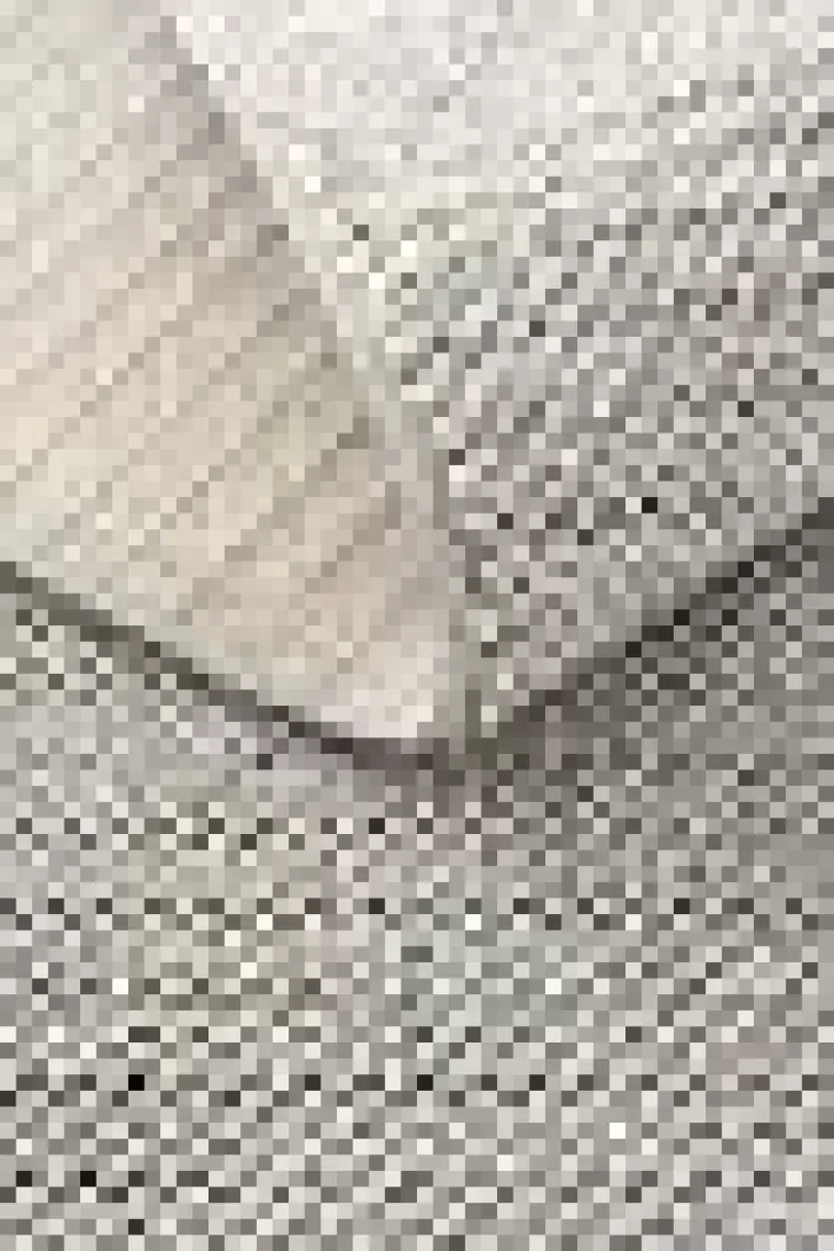 Cool Halı Mikasa Mks Plain Gri Yumuşak Dokulu Halı Kilim Salon Koridor Kesme Yolluk Dokuma Makine Halısı