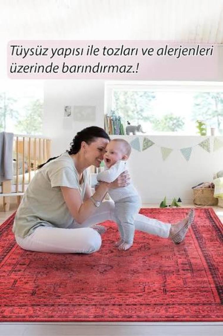 Artloop Halı, Dorian Şönil, Dokuma, Dekoratif Halı |Pamuk-Polyester| Kırmızı Halı Al 29