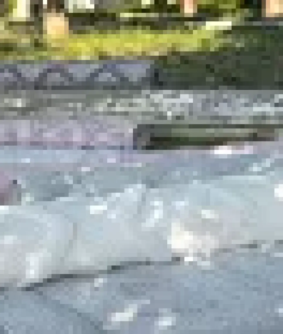Silva Siyah Halı Yıkanabilir Halı Balkon Halısı Oturma Odası Koridor Yatak Odası Halısı 58388A