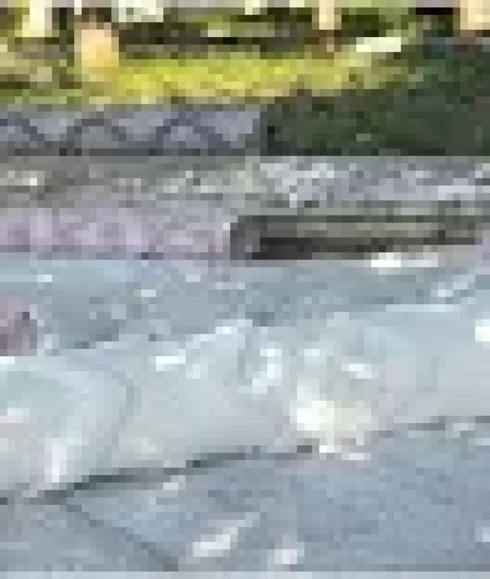 Silva Gri Halı Yıkanabilir Halı Balkon Halısı Oturma Odası Koridor Yatak Odası Halısı 58388A