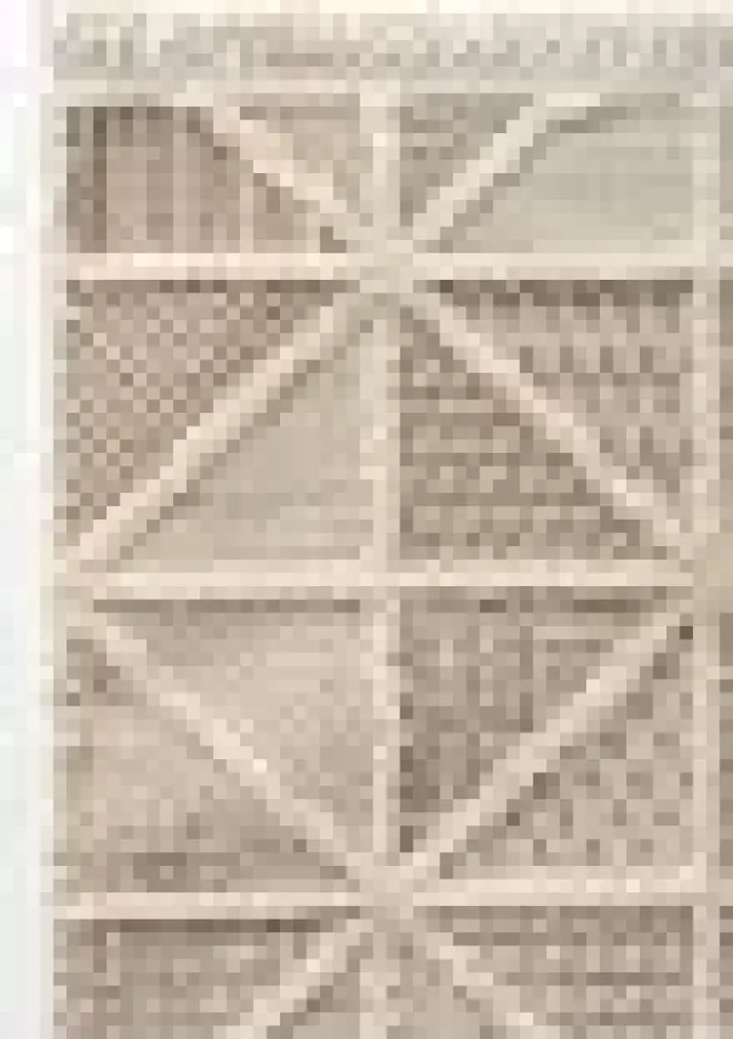Cool Halı Sakura 2201 Krem Hav Toz Vermez Etnik Desenli Modern Bukleli Salon Halısı