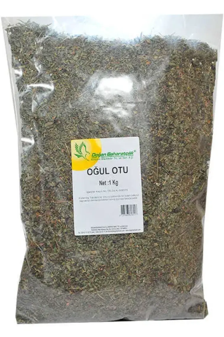 Doğan Baharat Oğul Otu 1 kg