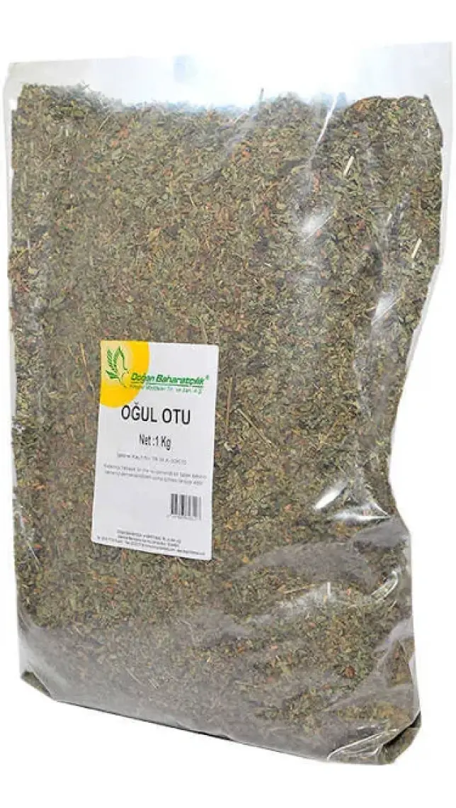 Doğan Baharat Oğul Otu 1 kg