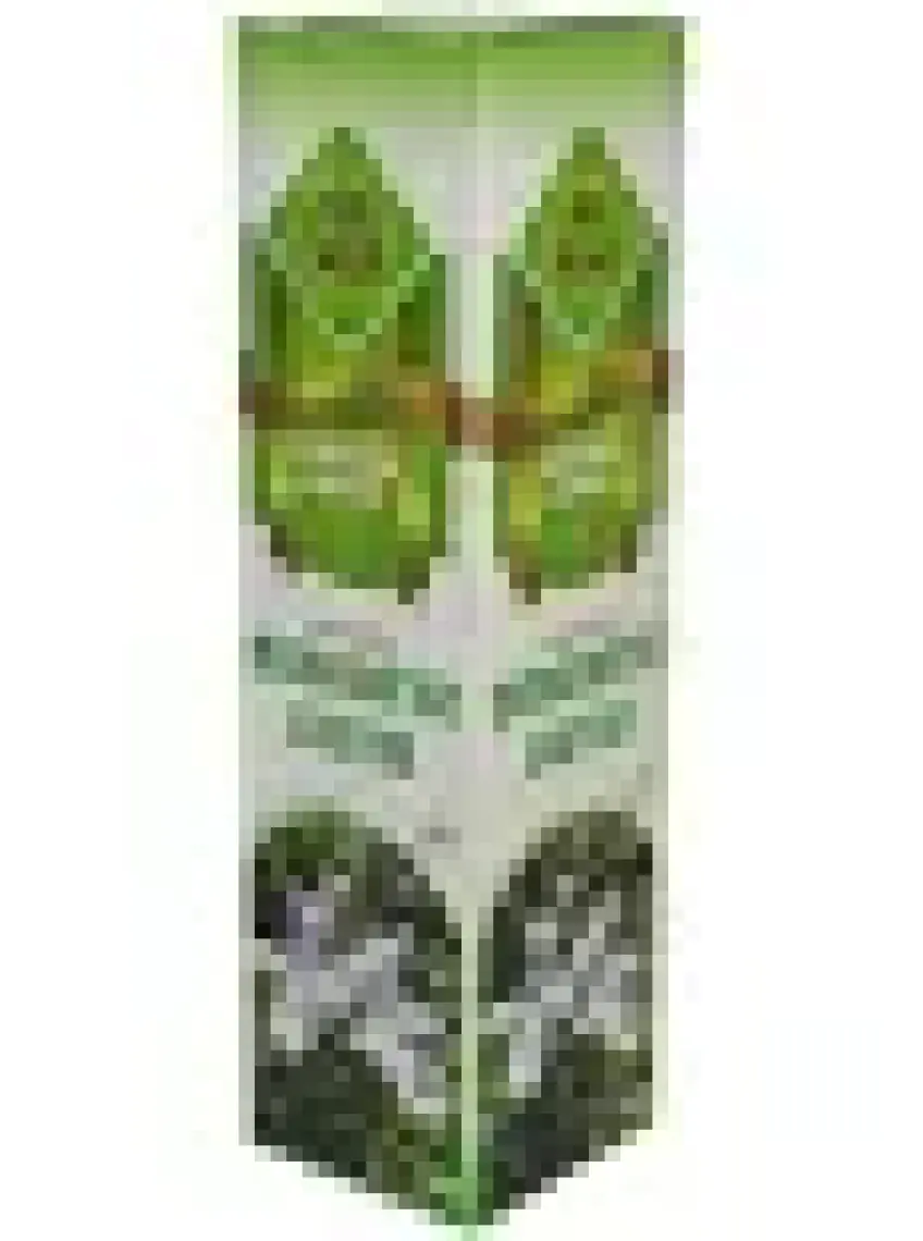 Nursima Aromatik Biberiye Suyu 1  lt