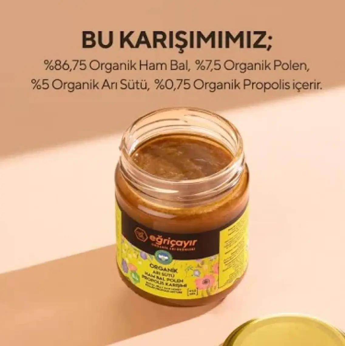 Eğriçayır Organik Arı Sütü Bal Polen Propolis Karışımı 240 gr