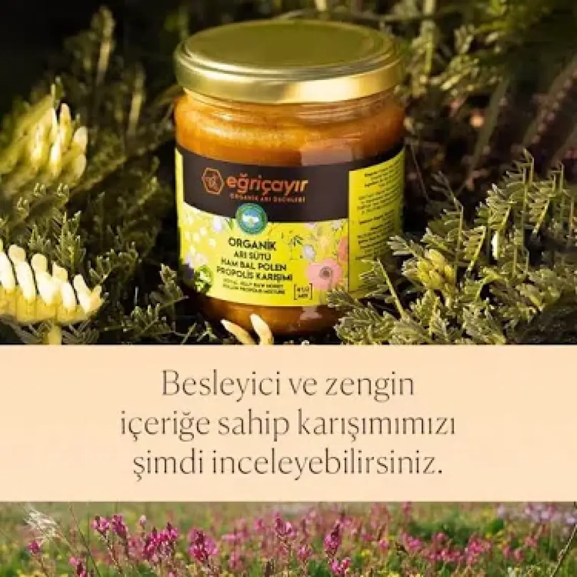 Eğriçayır Organik Arı Sütü Bal Polen Propolis Karışımı 240 gr