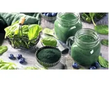 Spirulina Toz Deniz Yosun - Spirulina % 100 Saf 10 Gr