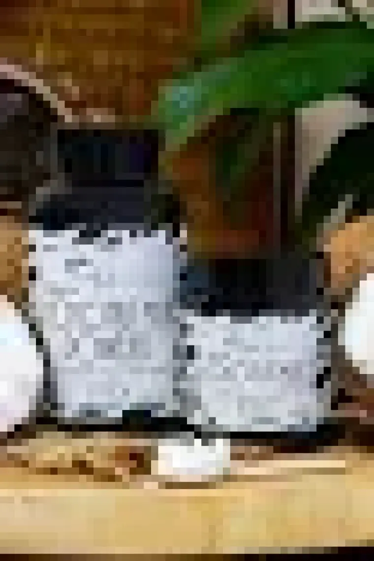Ayhan Ercan Organik Hindistan Cevizi Sütü Tozu 100 G