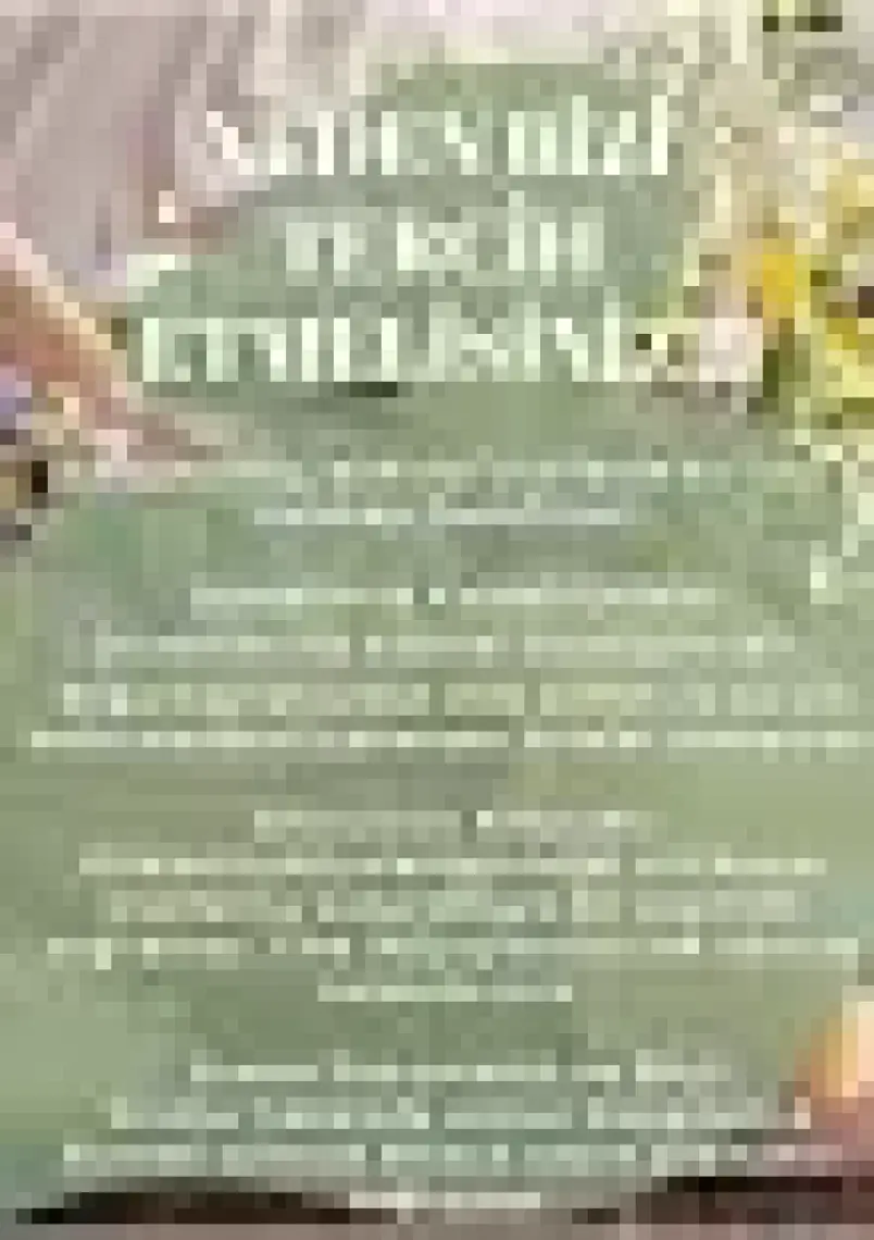 Nursima Enginar Suyu 1 Lt