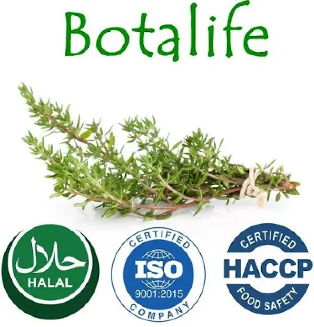 Çam Terebentin Doğal 100 Ml