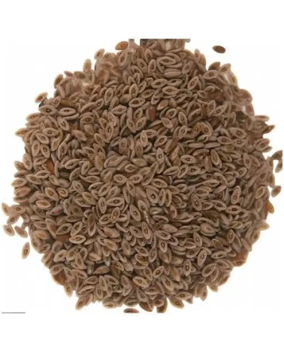 Aktar Marka Karnıyarık Otu Tohumu Tozu Psyllium Husk Powder 250 gr