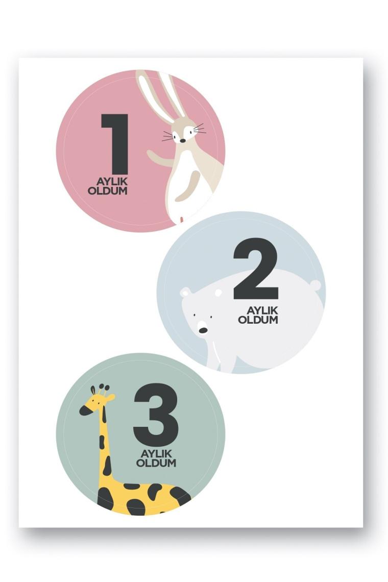 Le Color Bebek Sticker Seti