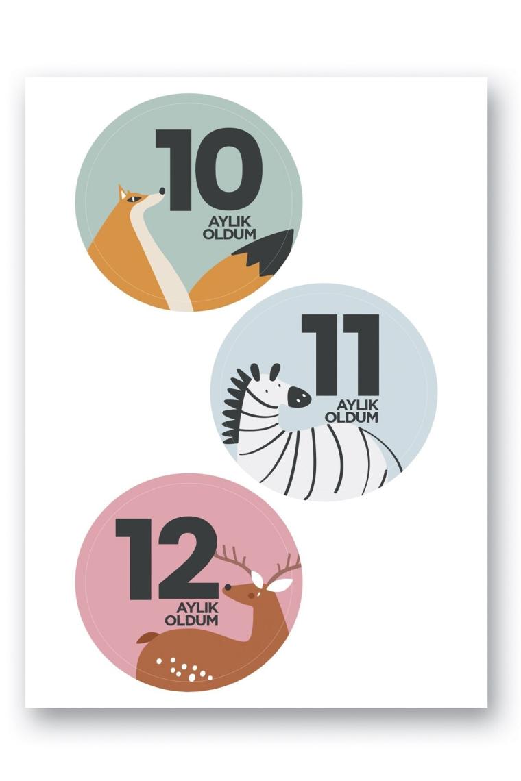 Le Color Bebek Sticker Seti