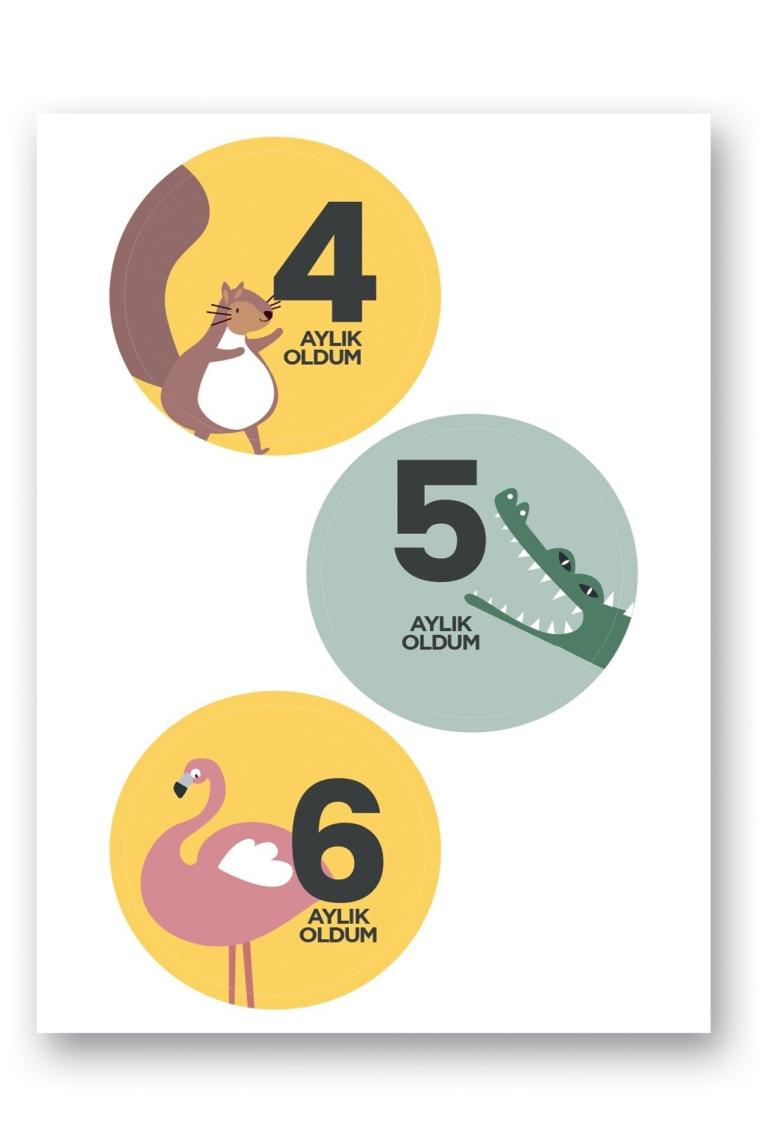 Le Color Bebek Sticker Seti