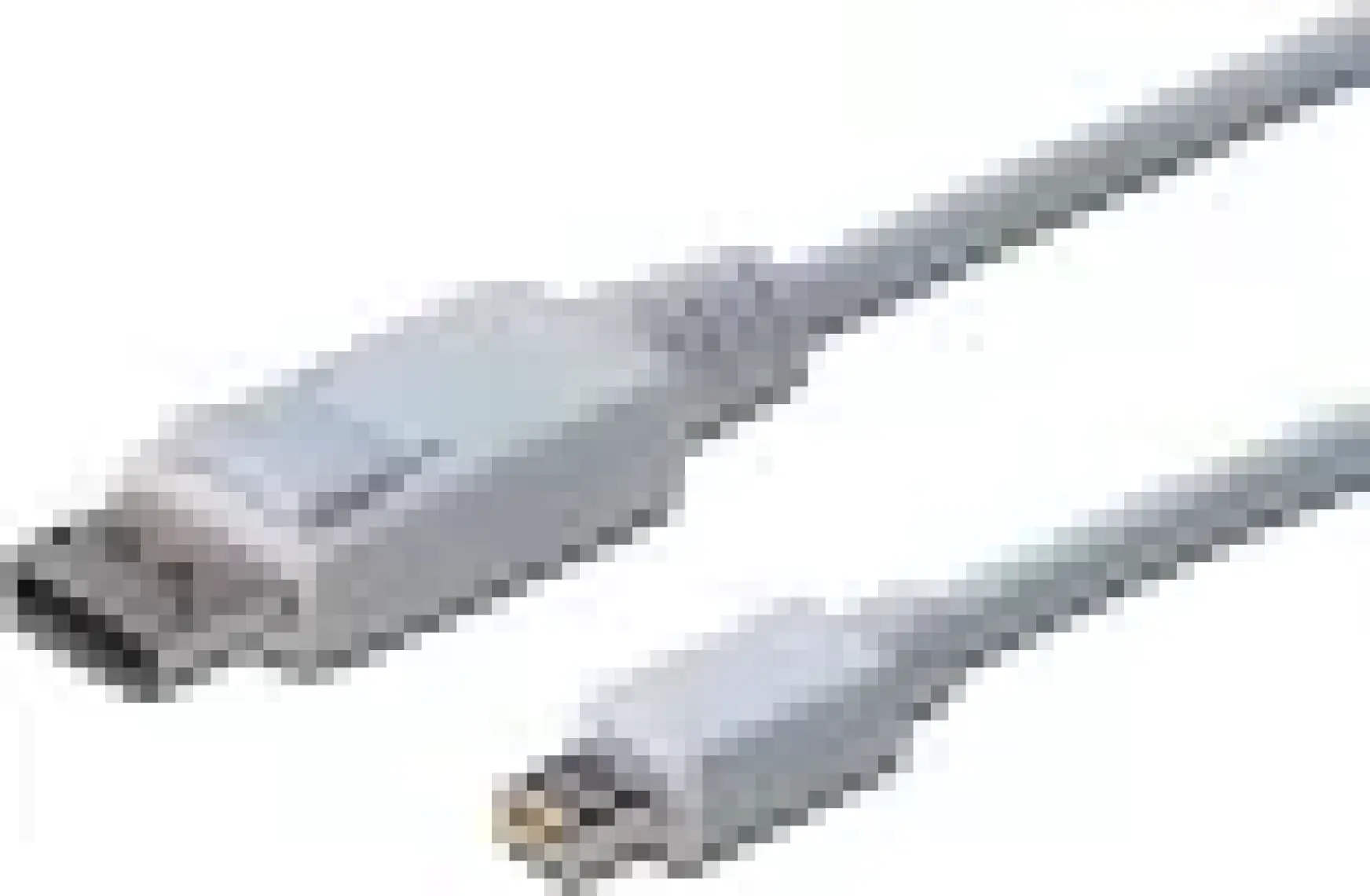 Displayport Bağlantı Kablosu, Dp Erkek - Mini Dp Erkek, 2 Metre, Kilit Mekanizmalı, Dp 1.1A Uyumlu, Ul, Beyaz Renk